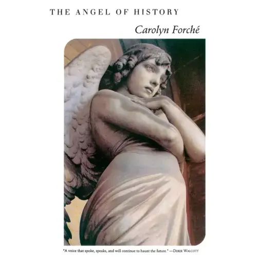 The Angel of History - Paperback