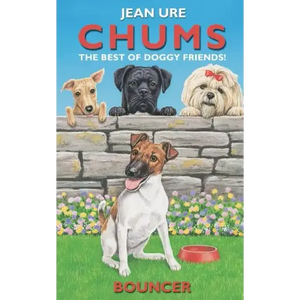 Bouncer - Paperback