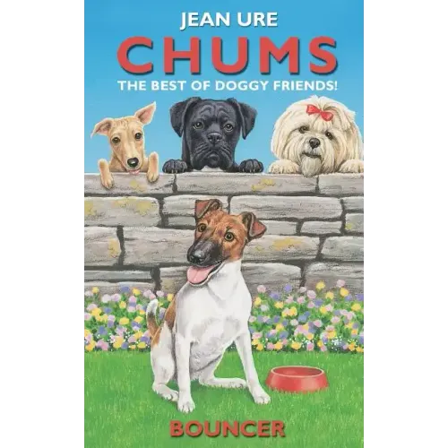 Bouncer - Paperback