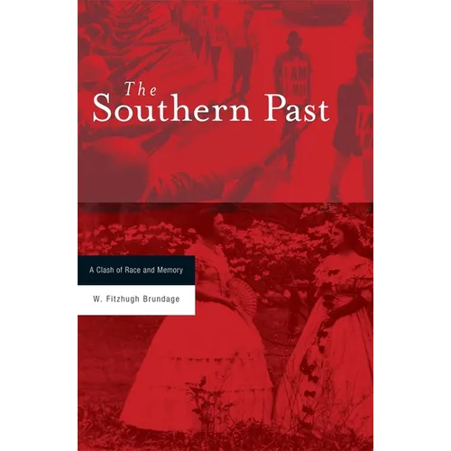 Southern Past: A Clash of Race and Memory - Paperback
