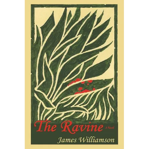 The Ravine - Paperback