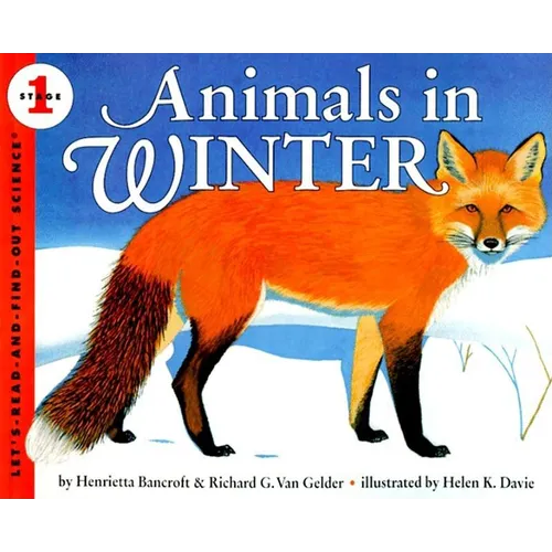 Animals in Winter - Paperback