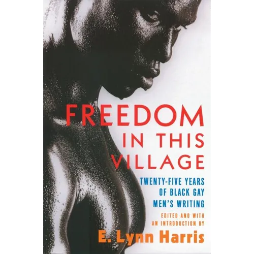 Freedom in This Village: Twenty-Five Years of Black Gay Men's Writing, 1979 to the Present - Paperback