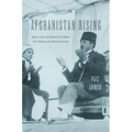Afghanistan Rising: Islamic Law and Statecraft Between the Ottoman and British Empires
