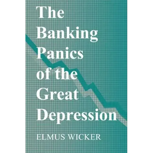 The Banking Panics of the Great Depression - Paperback