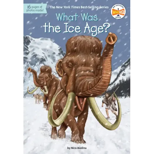 What Was the Ice Age? - Paperback