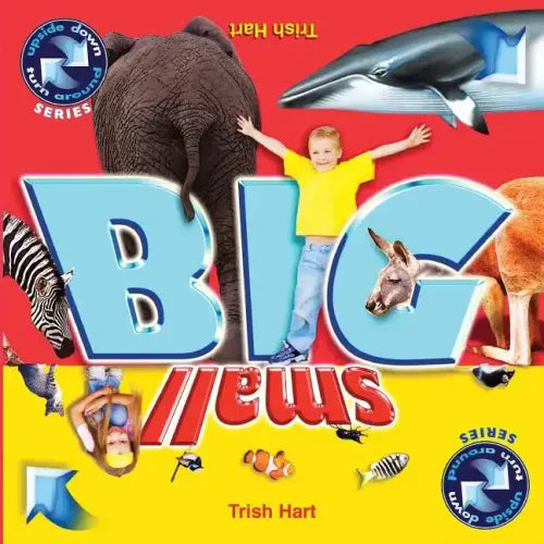 BIG and SMALL: A concept picture book for children - Paperback