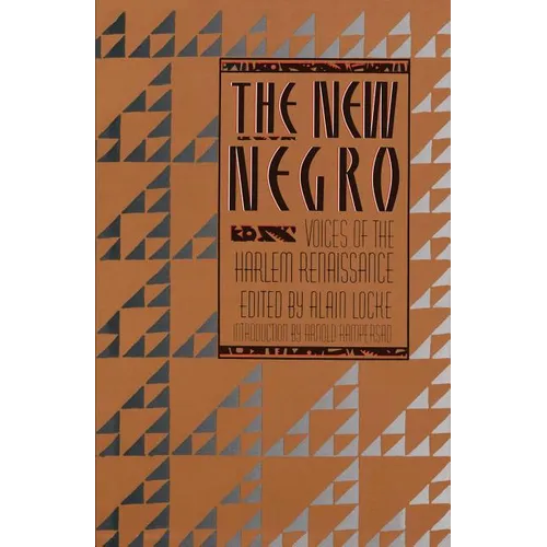 The New Negro - Paperback