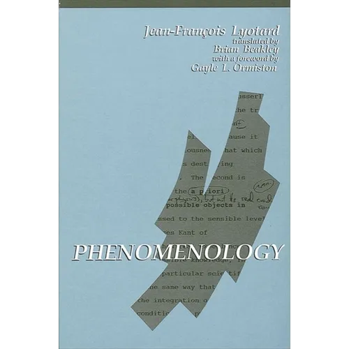 Phenomenology - Paperback