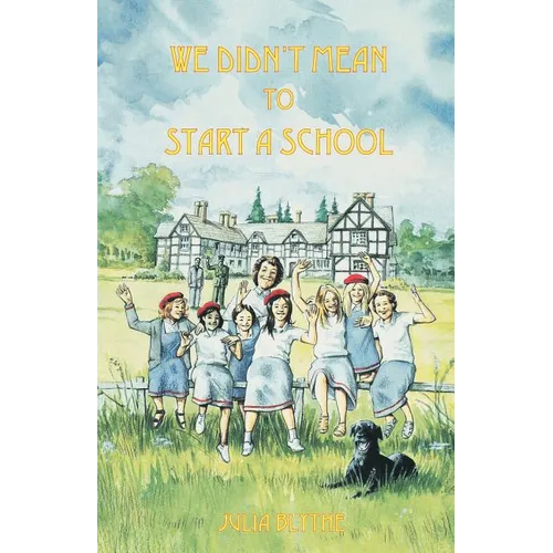 We Didn't Mean to Start A School - Paperback
