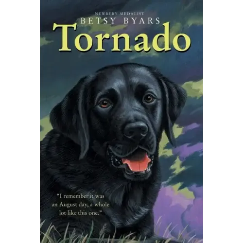Tornado - Paperback