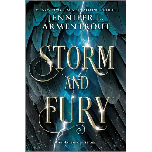 Storm and Fury - Paperback