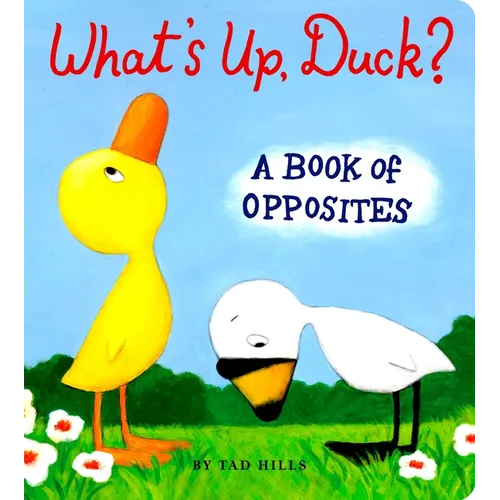 What's Up, Duck?: A Book of Opposites