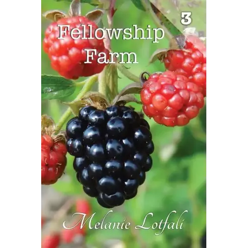 Fellowship Farm 3: Books 7-9 - Paperback