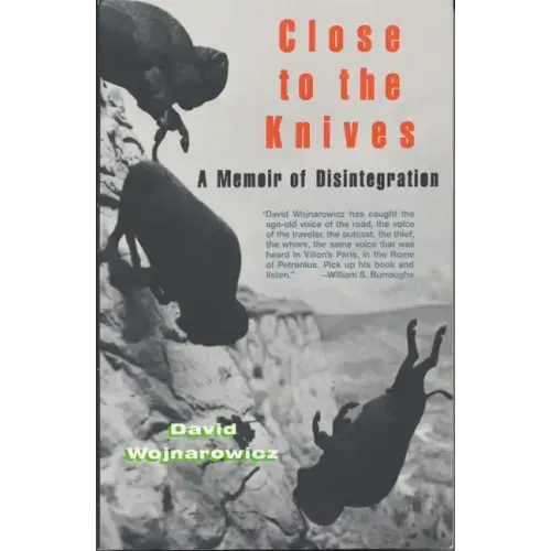 Close to the Knives: A Memoir of Disintegration - Paperback