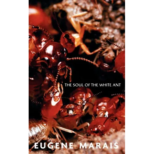 The Soul of the White Ant - Paperback