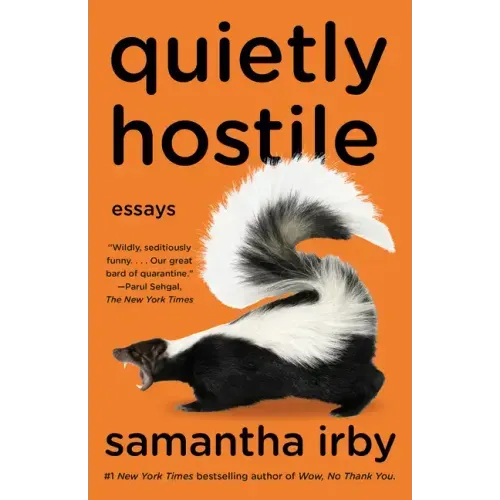 Quietly Hostile: Essays - Paperback
