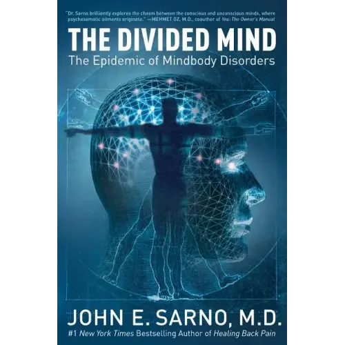The Divided Mind: The Epidemic of Mindbody Disorders - Paperback
