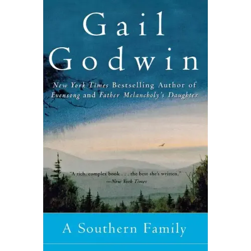 A Southern Family - Paperback