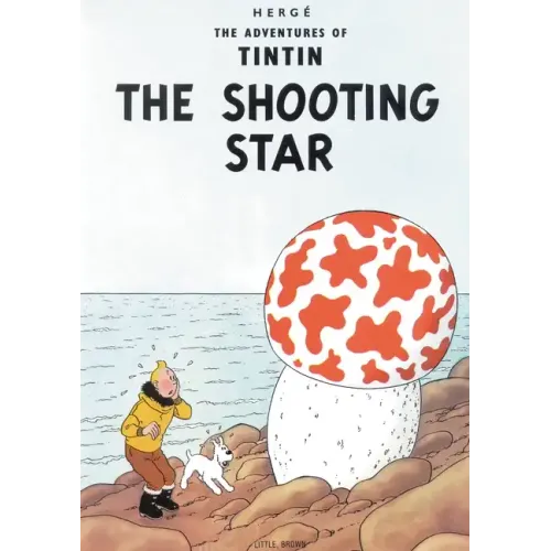 The Shooting Star - Paperback