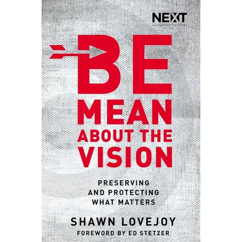 The Be Mean about the Vision: Preserving and Protecting What Matters - Paperback