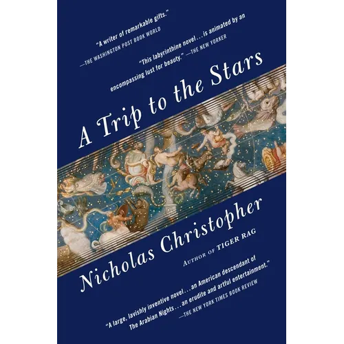 A Trip to the Stars - Paperback