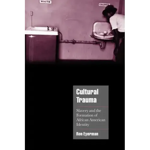 Cultural Trauma: Slavery and the Formation of African American Identity - Paperback