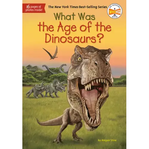 What Was the Age of the Dinosaurs? - Paperback