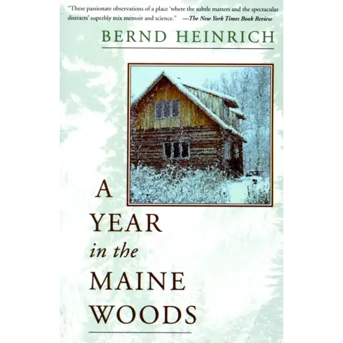 A Year in the Maine Woods - Paperback