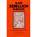 Slave Rebellion in Brazil: The Muslim Uprising of 1835 in Bahia