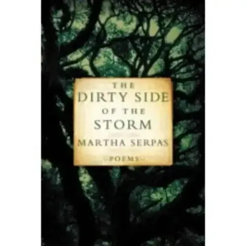 Dirty Side of the Storm - Paperback