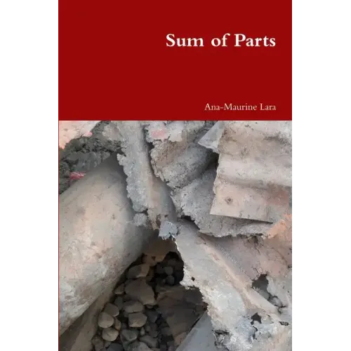 Sum of Parts - Paperback