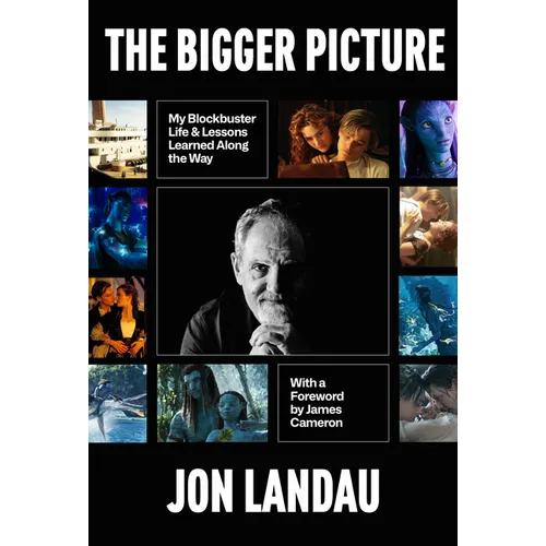 The Bigger Picture: My Blockbuster Life & Lessons Learned Along the Way - Hardcover