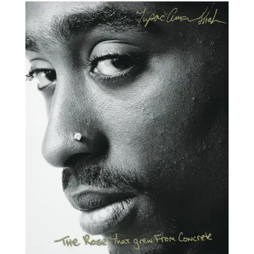 The Rose That Grew from Concrete - Hardcover