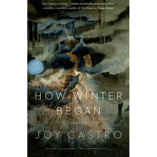 How Winter Began: Stories - Paperback