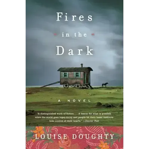 Fires in the Dark - Paperback