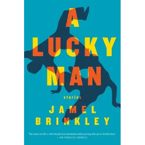 A Lucky Man: Stories - Paperback