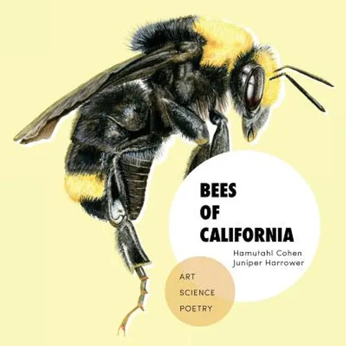 Bees of California: Art, Science, and Poetry - Paperback
