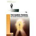 The Bardo Thodol - A Golden Opportunity