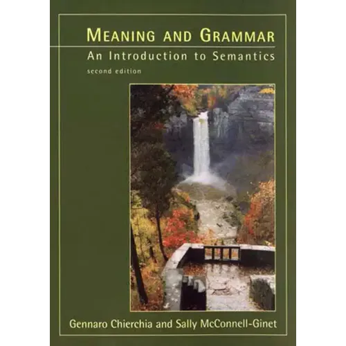 Meaning and Grammar, second edition - Paperback