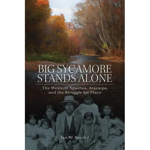 Big Sycamore Stands Alone: The Western Apaches, Aravaipa, and the Struggle for Place Volume 1 - Paperback