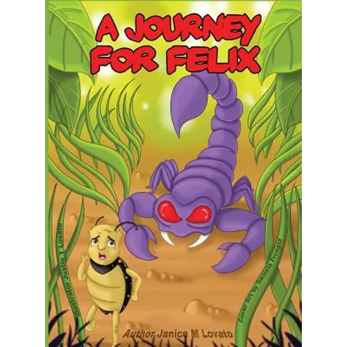 A Journey for Felix - Hardcover