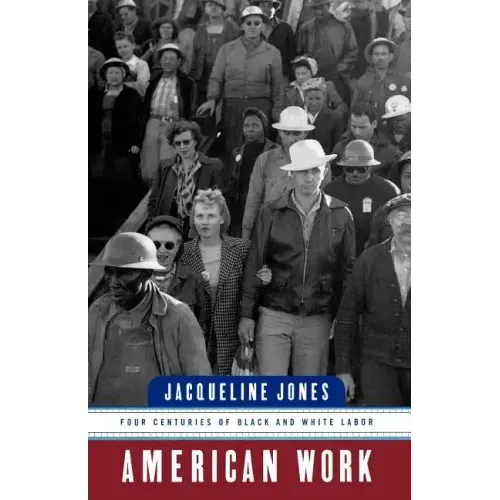 American Work: Four Centuries of Black and White Labor - Paperback
