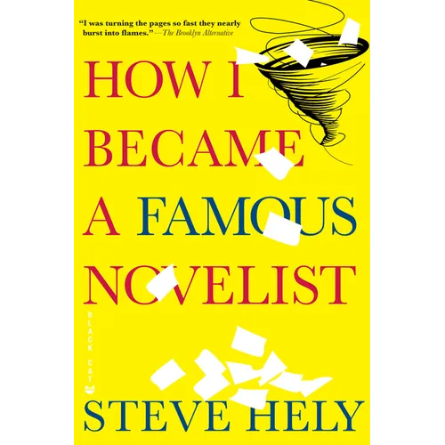 How I Became a Famous Novelist - Paperback