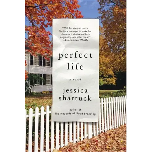 Perfect Life - Paperback