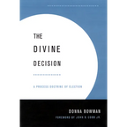 Divine Decision: A Process Doctrine of Election - Paperback