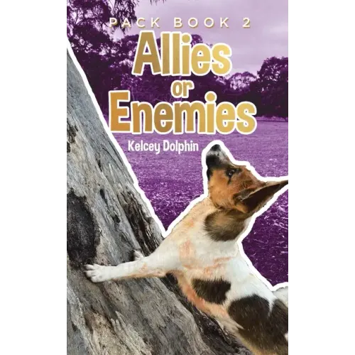 Allies or Enemies - Paperback