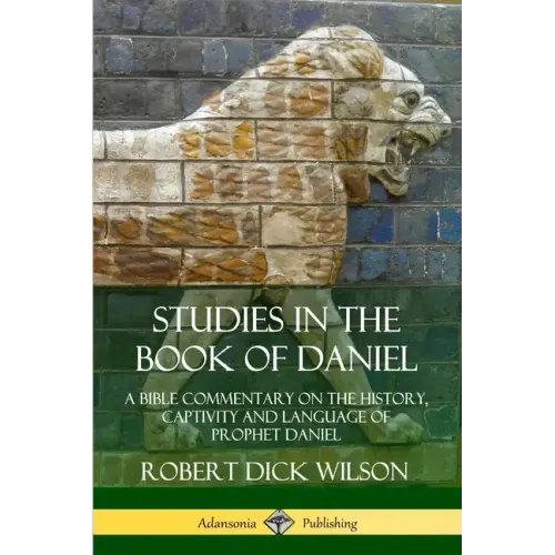 Studies in the Book of Daniel: A Bible Commentary on the History, Captivity and Language of Prophet Daniel - Paperback