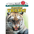 Amazing Tigers!