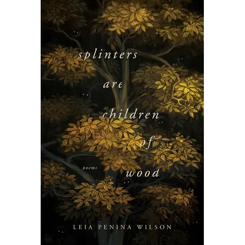 Splinters Are Children of Wood - Paperback